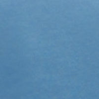Columbia Blue